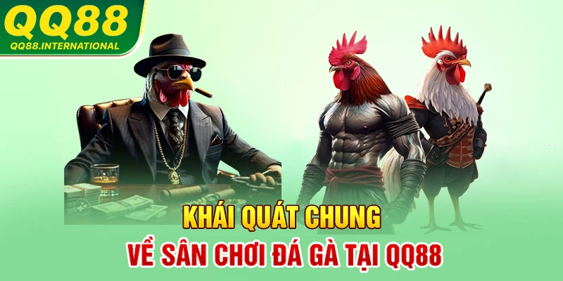 khái quát chung về sân chơi đá gà tại qq88