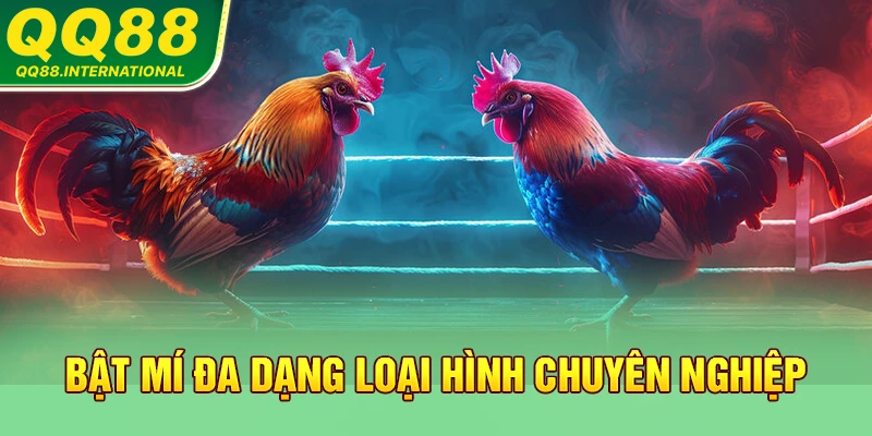 Bật mí đa dạng loại hình chuyên nghiệp