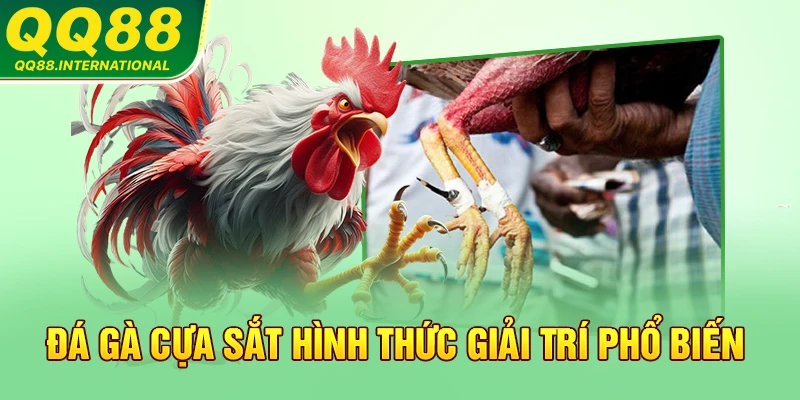 Đá gà cựa sắt hình thức giải trí phổ biến