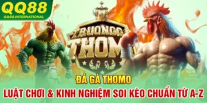 Đá Gà Thomo | Luật Chơi & Kinh Nghiệm Soi Kèo Chuẩn Từ A-Z