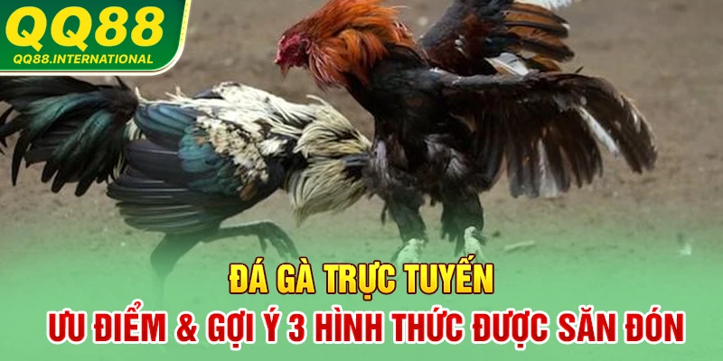 Đá Gà Trực Tuyến | Ưu Điểm & Gợi Ý 3 Hình Thức Được Săn Đón
