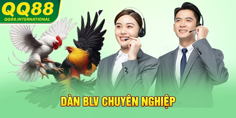 Dàn BLV chuyên nghiệp