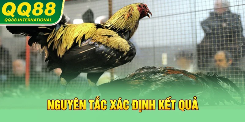 Nguyên tắc xác định kết quả
