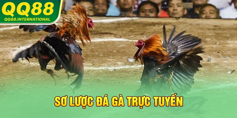Sơ lược đá gà trực tuyến
